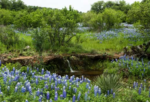 Hill Country Views